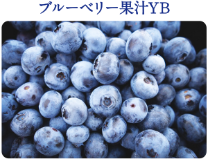 ブルーベリー果汁YB