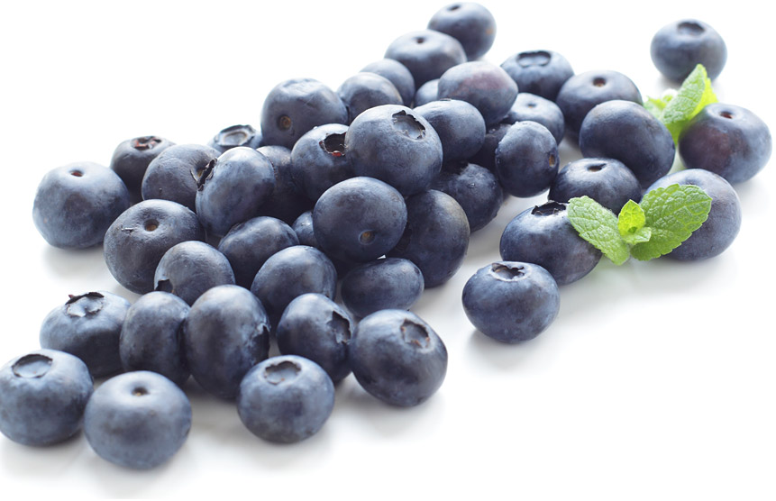 Organic Wild Blueberry